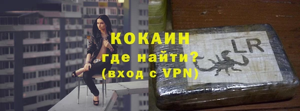 эйфоретик Арсеньев