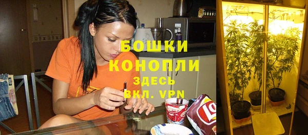 соль ск Аркадак