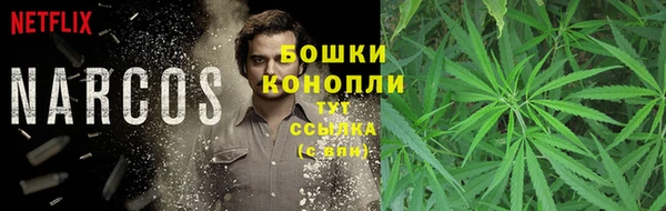 соль ск Аркадак