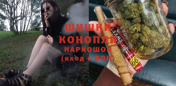 эйфоретик Арсеньев