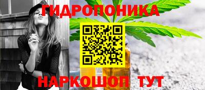 молекула духа Жуковский