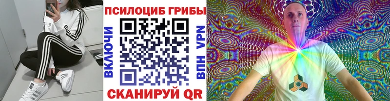 Галлюциногенные грибы мицелий  даркнет сайт  Майкоп 
