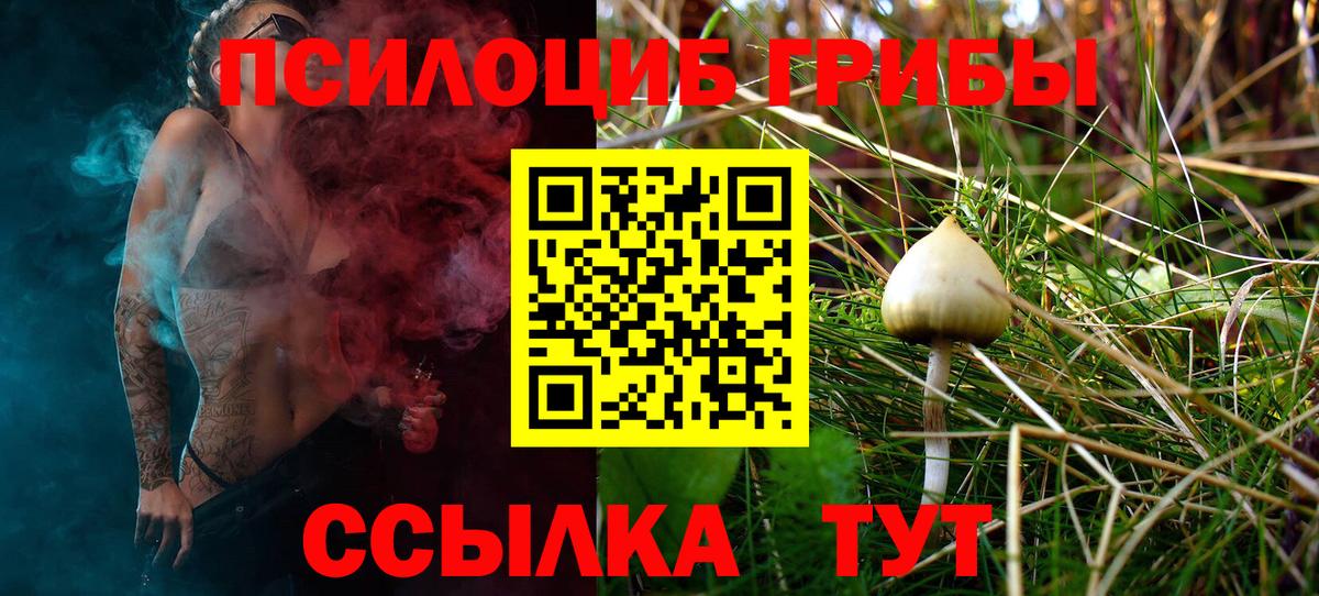Майкоп  Псилоцибиновые грибы мухоморы  Вход с VPN 