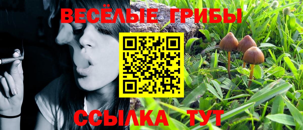 Псилоцибиновые грибы Magic Shrooms Майкоп