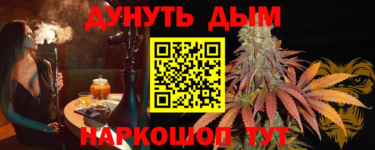 Бошки Шишки Ganja  Конопля сатива  Каннабис планчик  Майкоп  Вход с VPN 